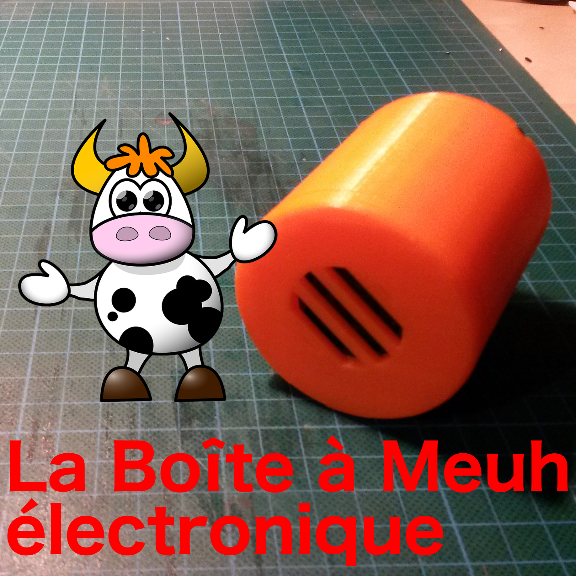 Medium boite a meuh fr