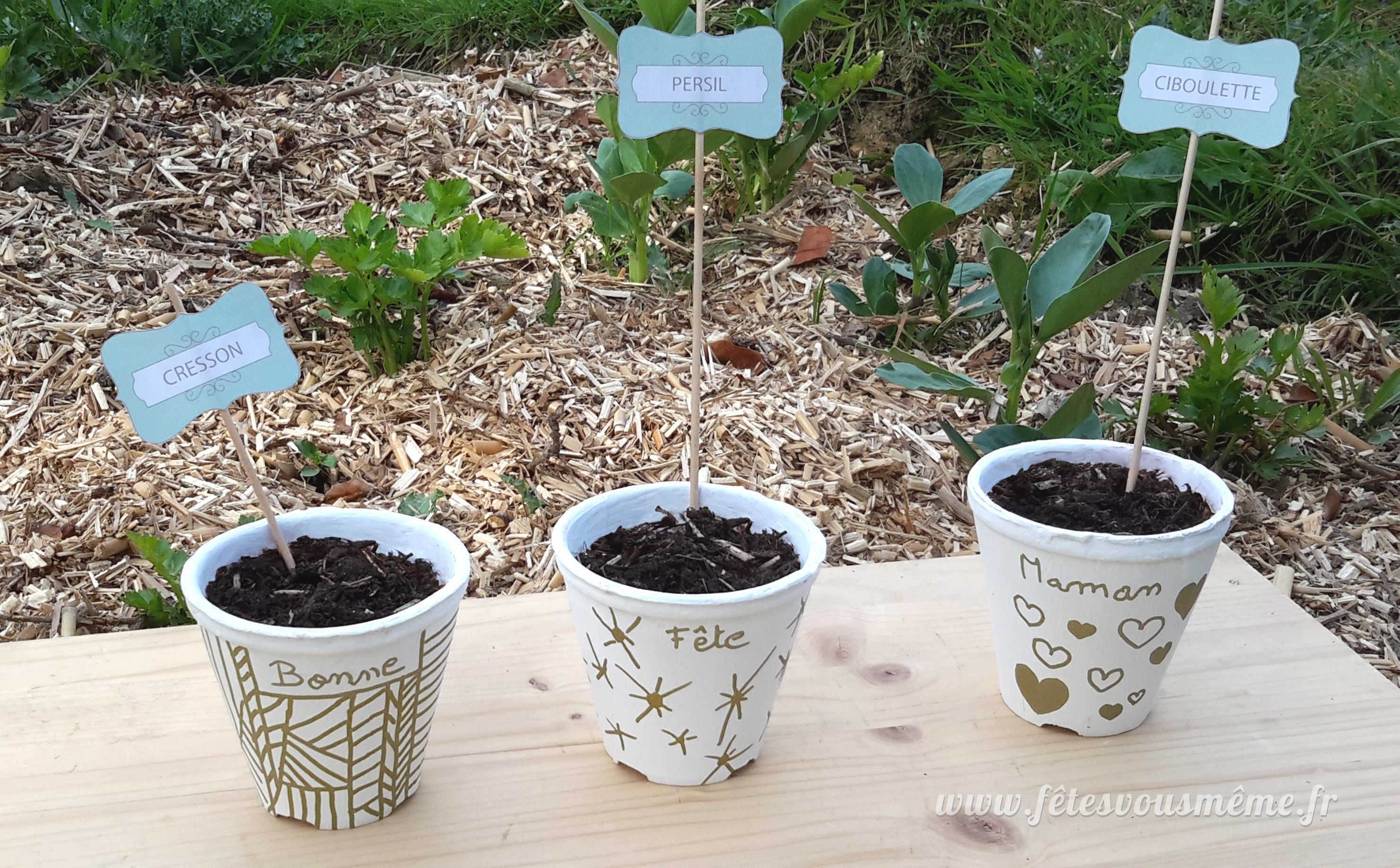 Medium pots aromates fete des meres