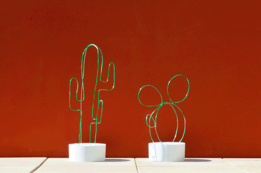 Medium diy cactus lumineux neon